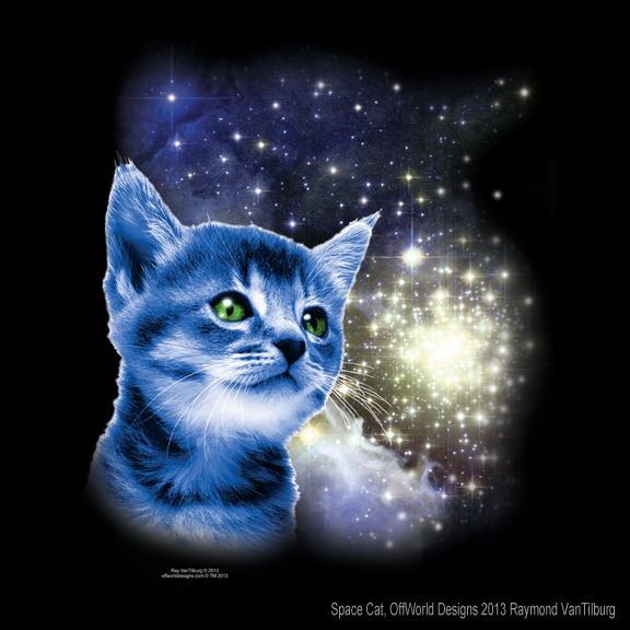 Space Cat