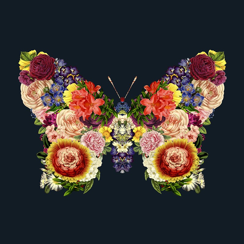 Spring Butterfly Floral