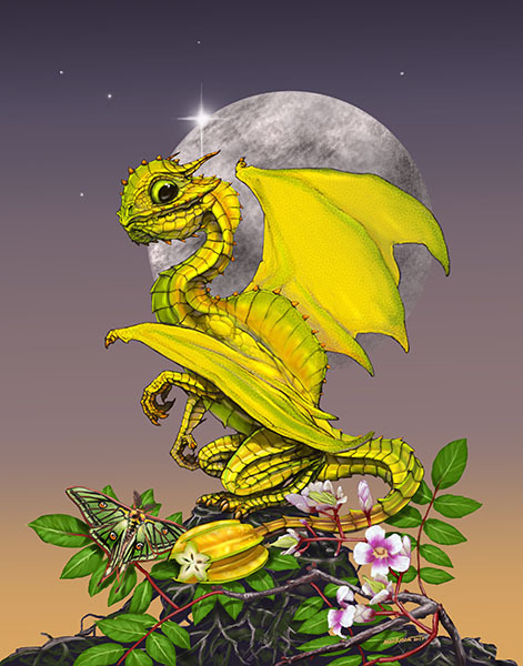 STAR FRUIT DRAGON