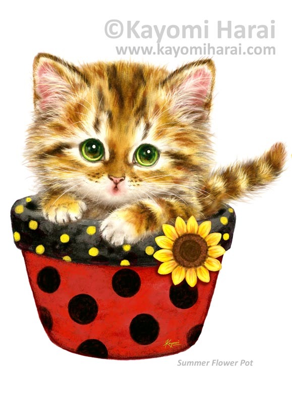 Summer Flower Pot