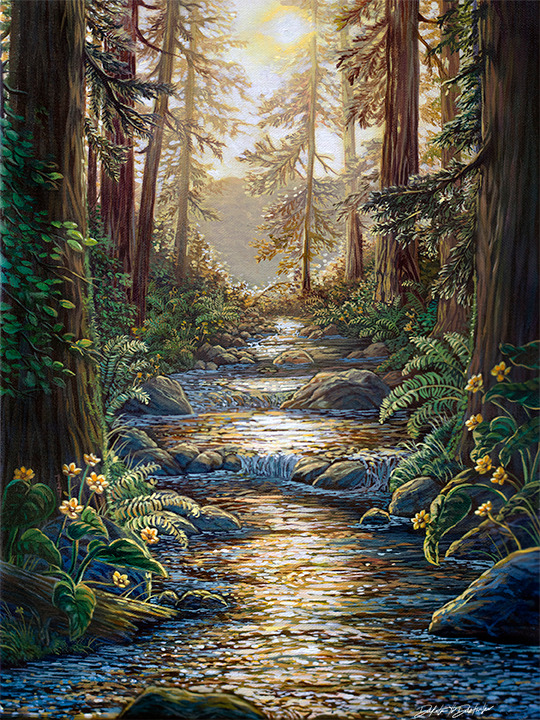 Sunny Creek