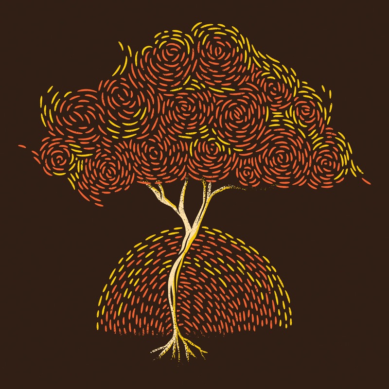 Sunset Tree