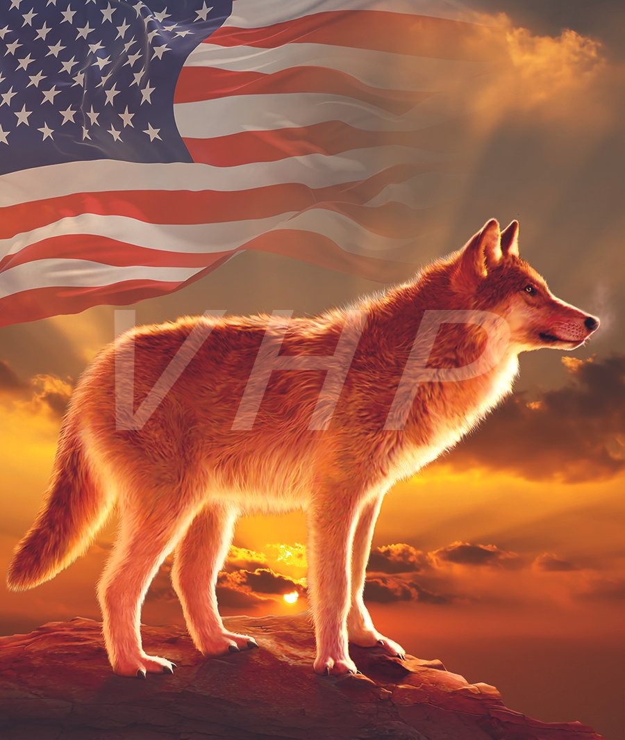 Sunset Wolf USA