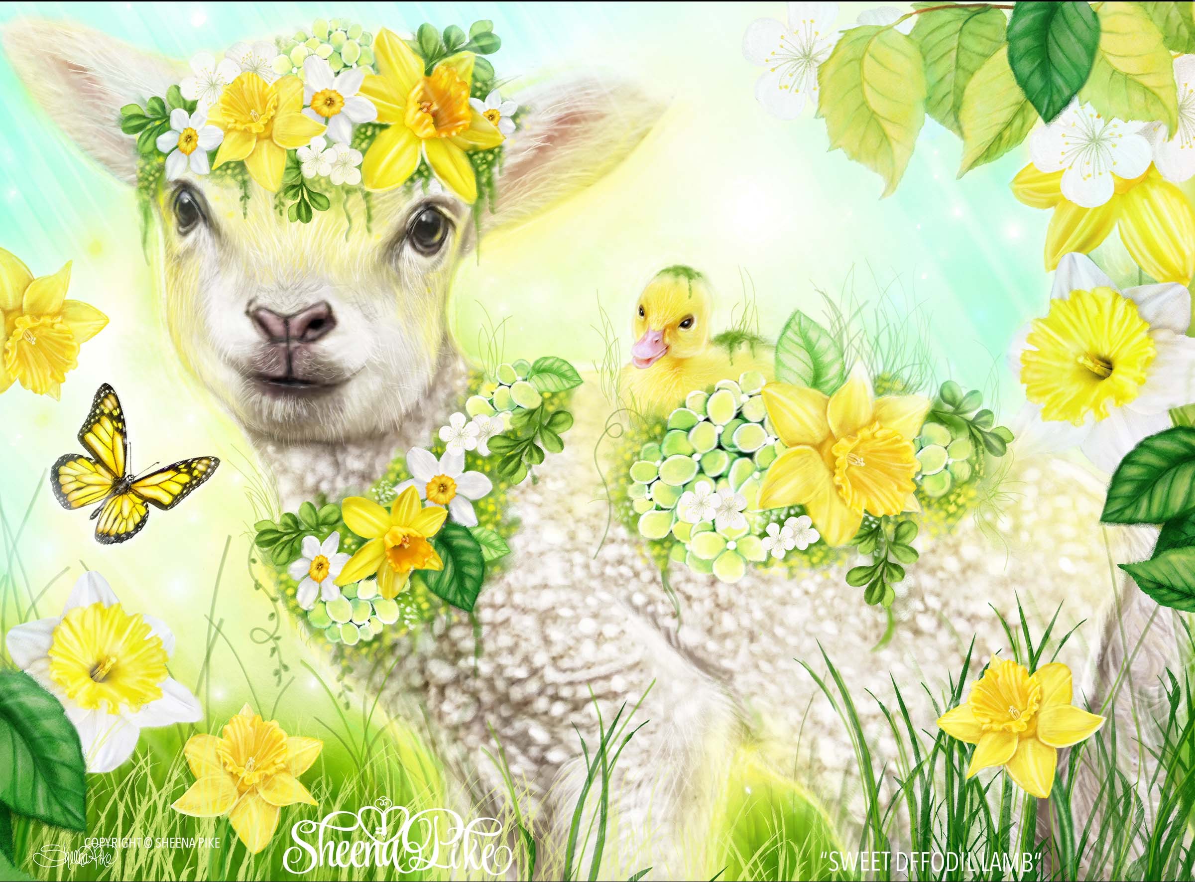 Sweet Daffodil Lamb