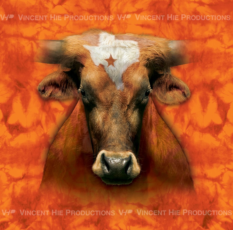 Texas Longhorn Big Face