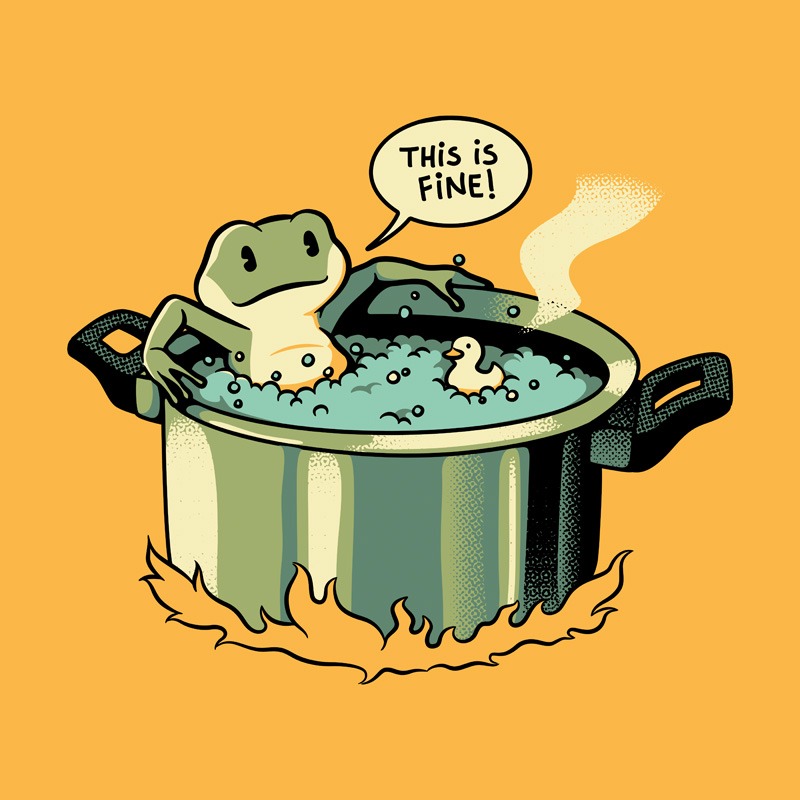 Thats Fine Frog Cooking Pot