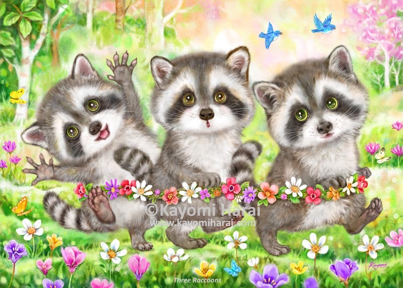 Three Raccoons
