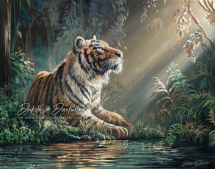 Tiger Relaxing