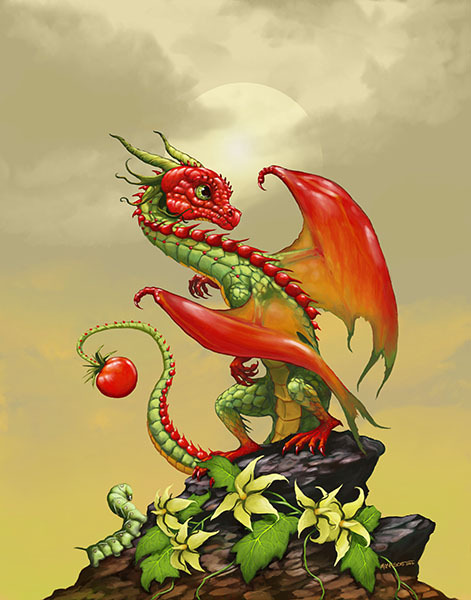 TOMATO DRAGON