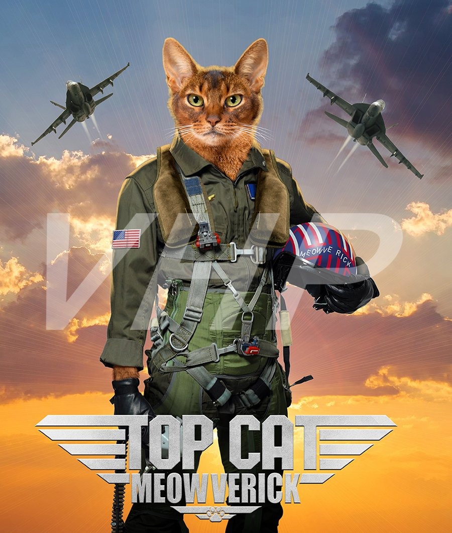 Top Gun Meowverick