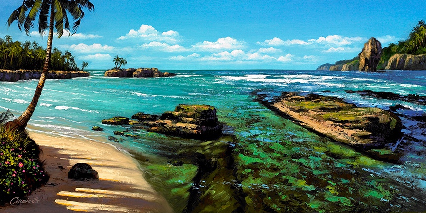 Tropical Tide Pools