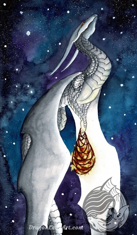 Collect the Stars