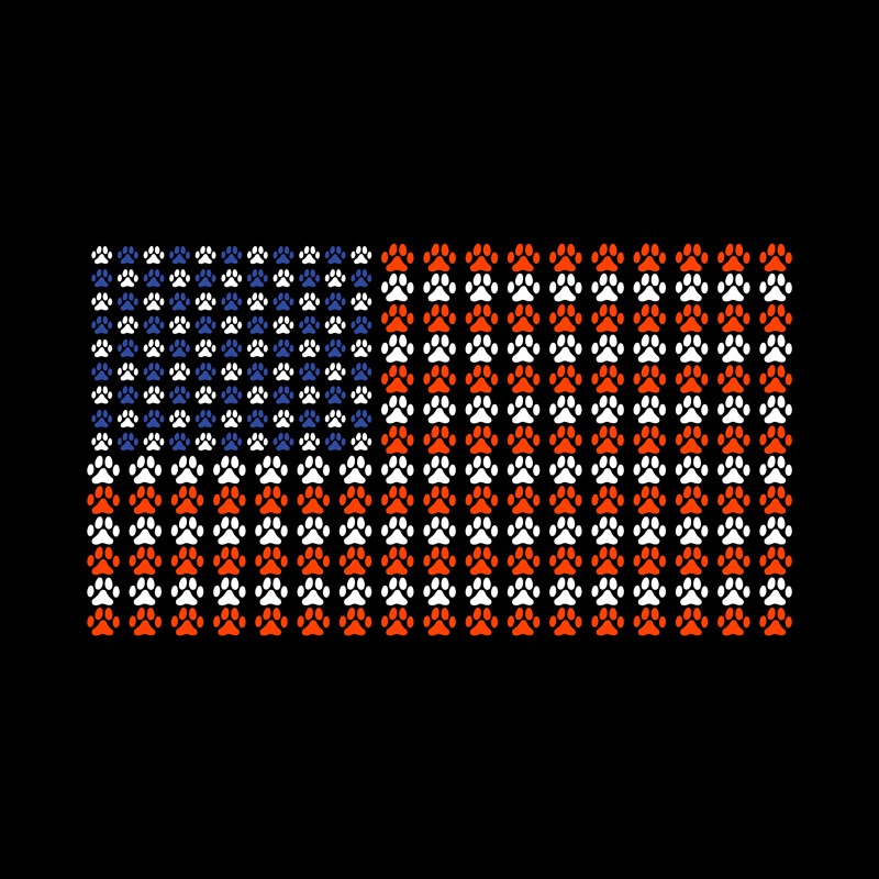 USA Flag Cat Beans
