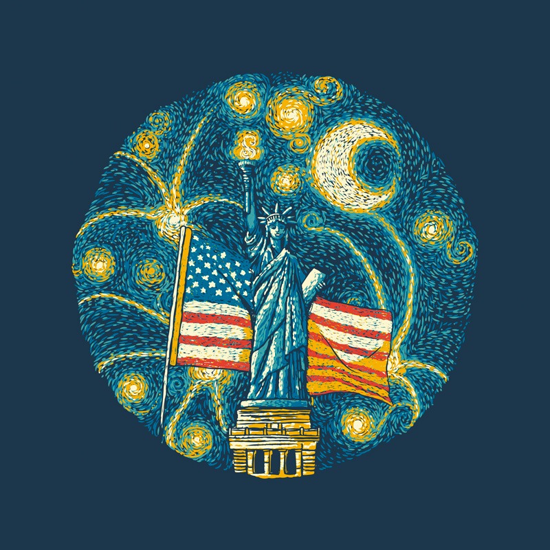 USA Flag Firework Starry Night