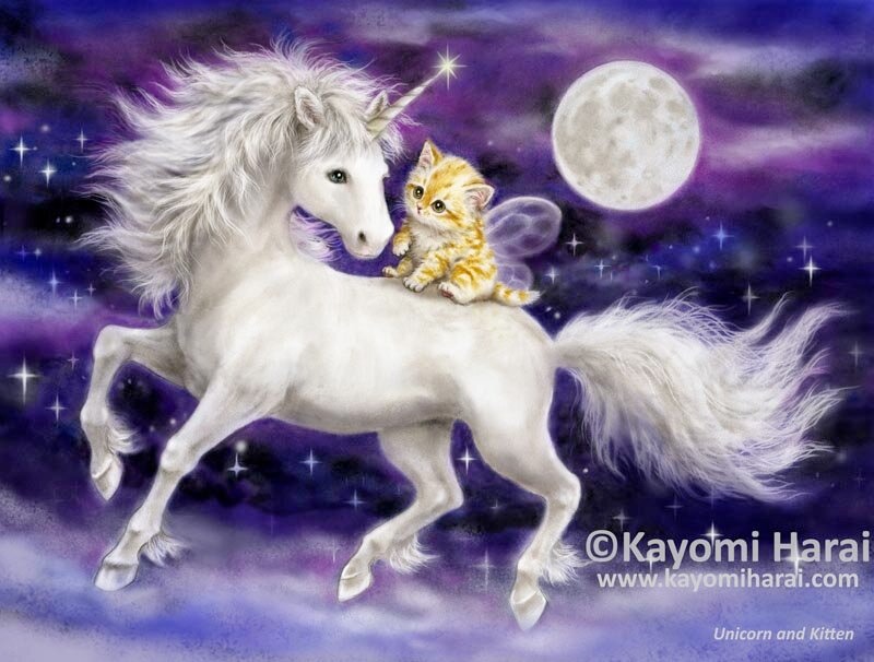 Unicorn & Kitten