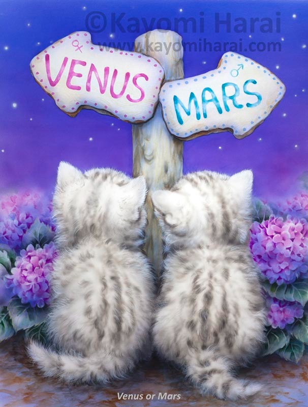 Venus Or Mars