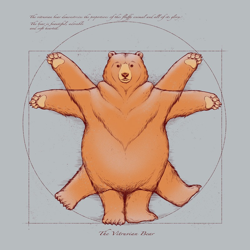 Vitruvian Bear
