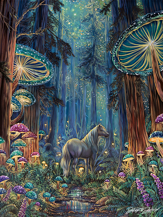Wandered to Wonderland