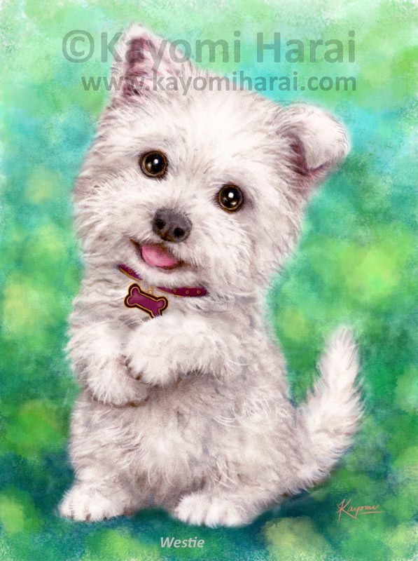 Westie