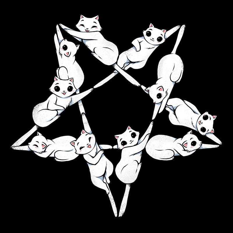 Where the cats go at night