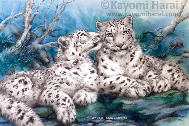 Whisper Snow Leopards