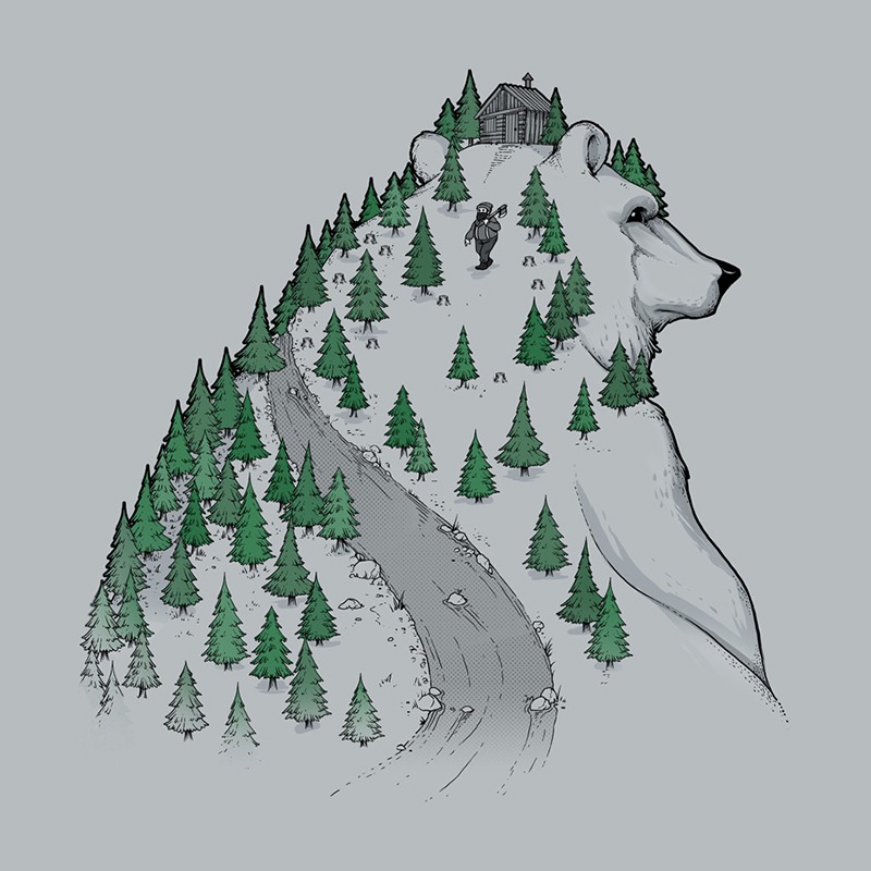 Wild Bear