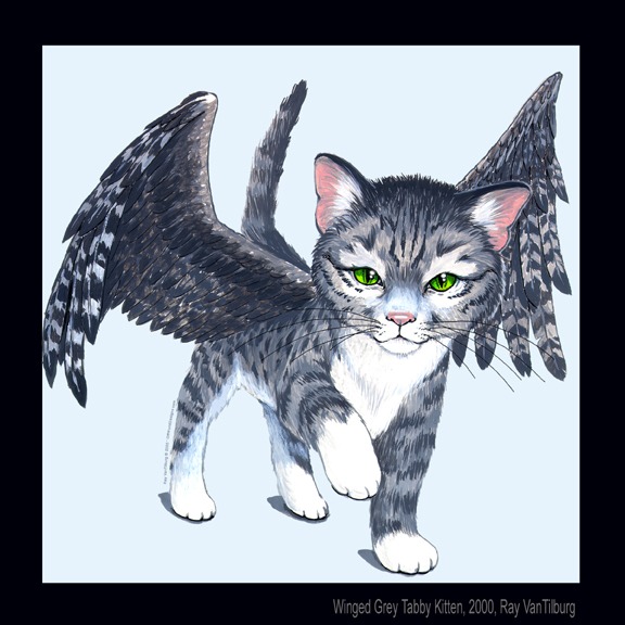 Winged Grey Kitten
