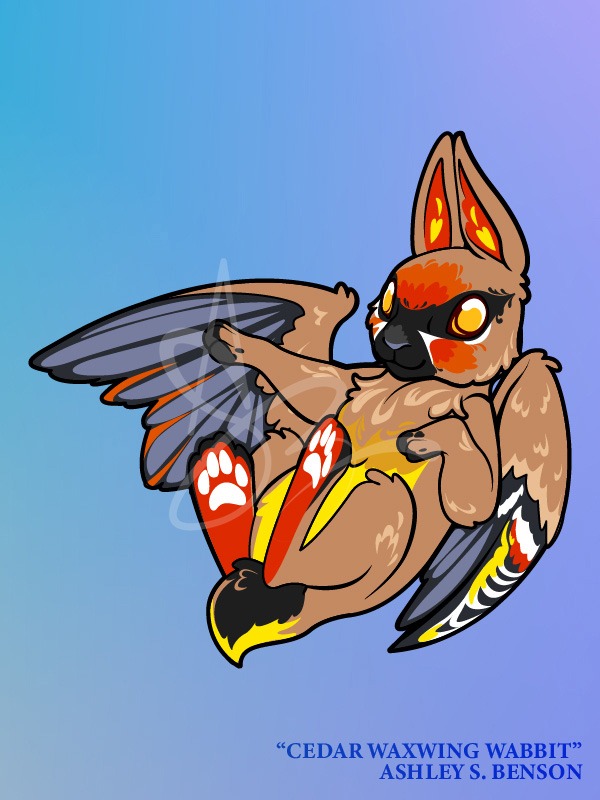 WINGED WABBITS- Cedar Waxwing