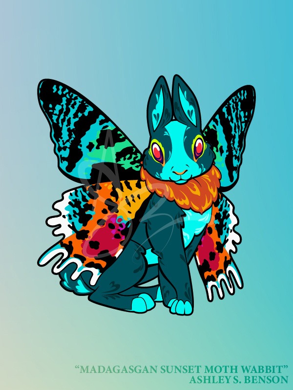 WINGED WABBITS- Madagascan Sunset Moth