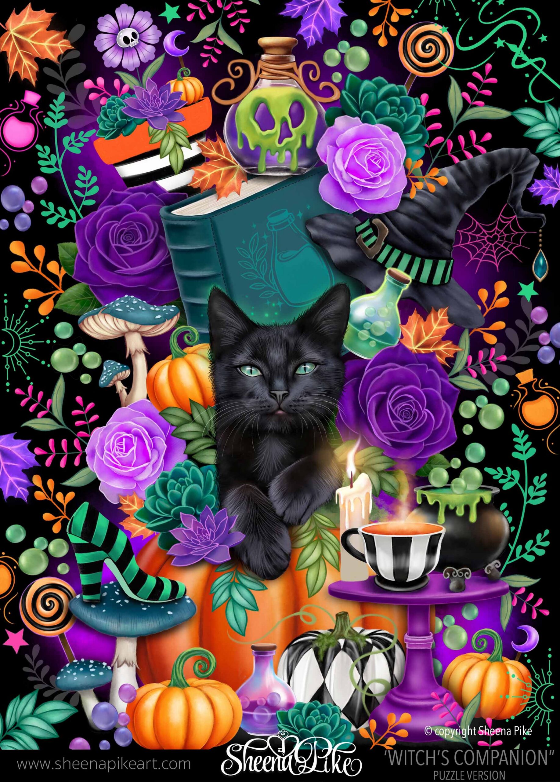 Witch’s Companion Puzzle Version