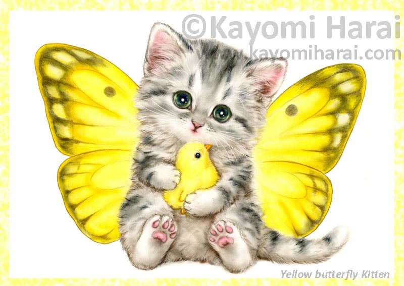 Yellow Butterfly Kitten