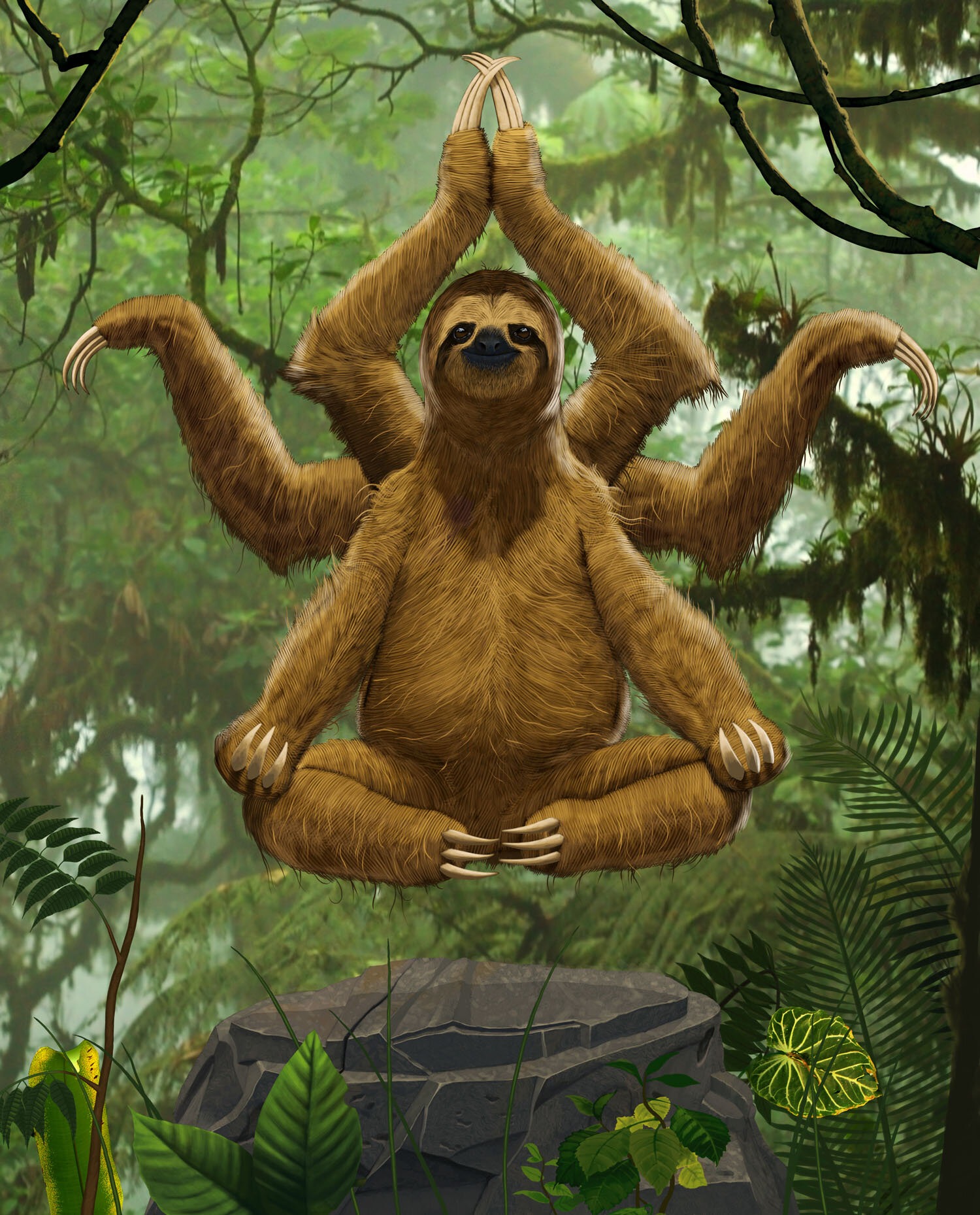 Zen Sloth