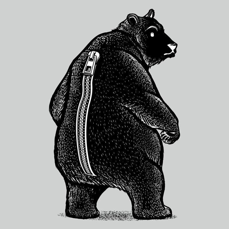 Zipper Bear Disguise