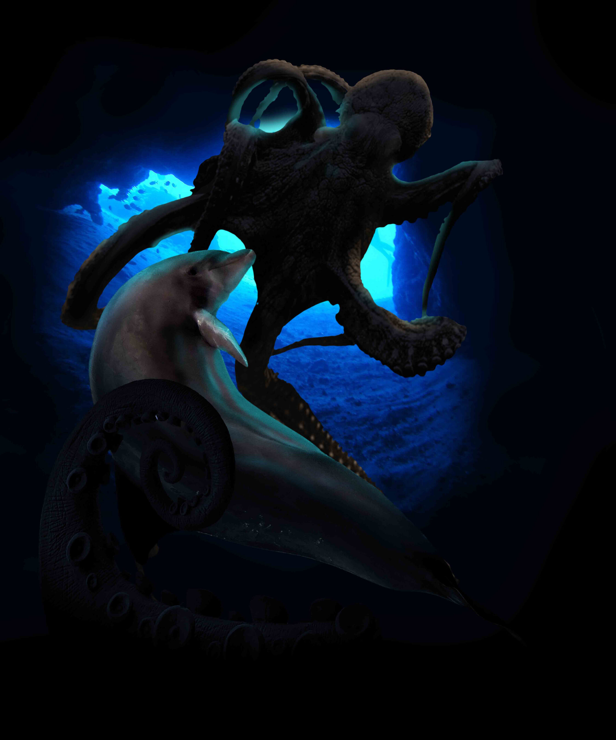 Octopus Encounter