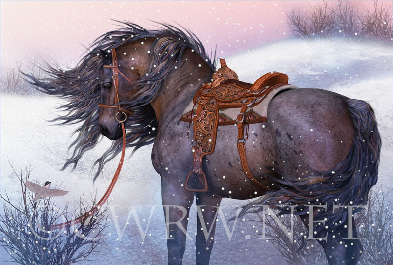 A Winter’s Encounter