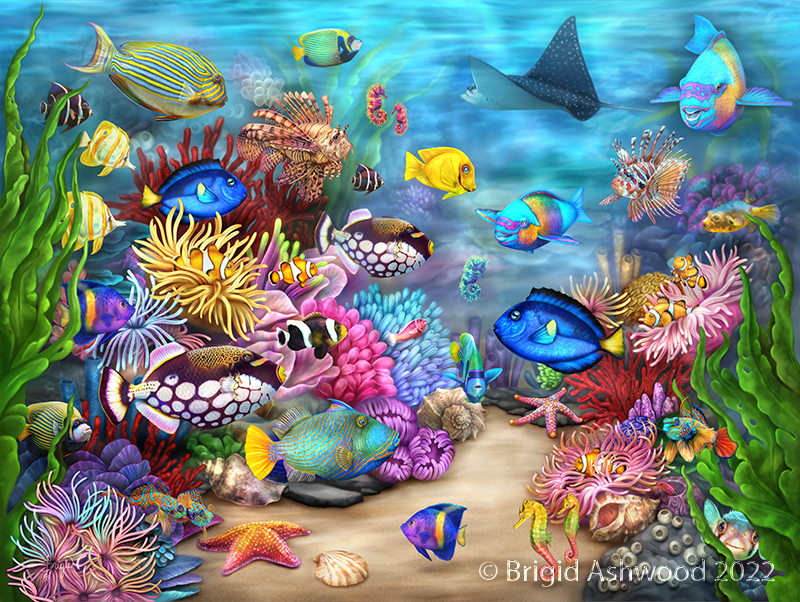 Costa Rica Reef Life