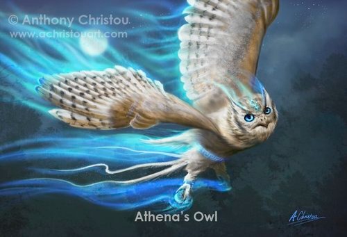 athenas owl