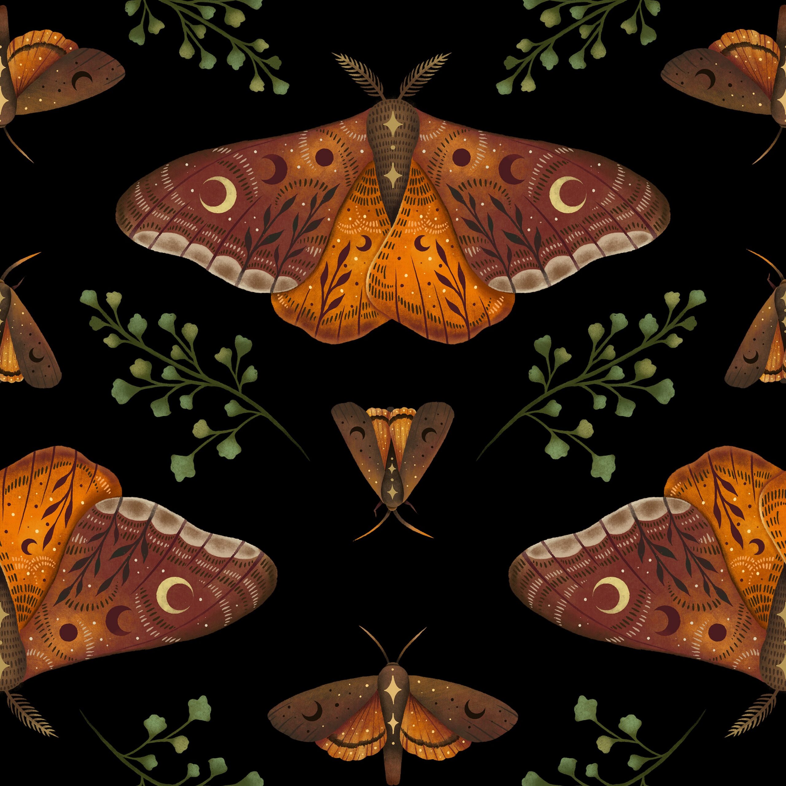 Autumn Light Underwings