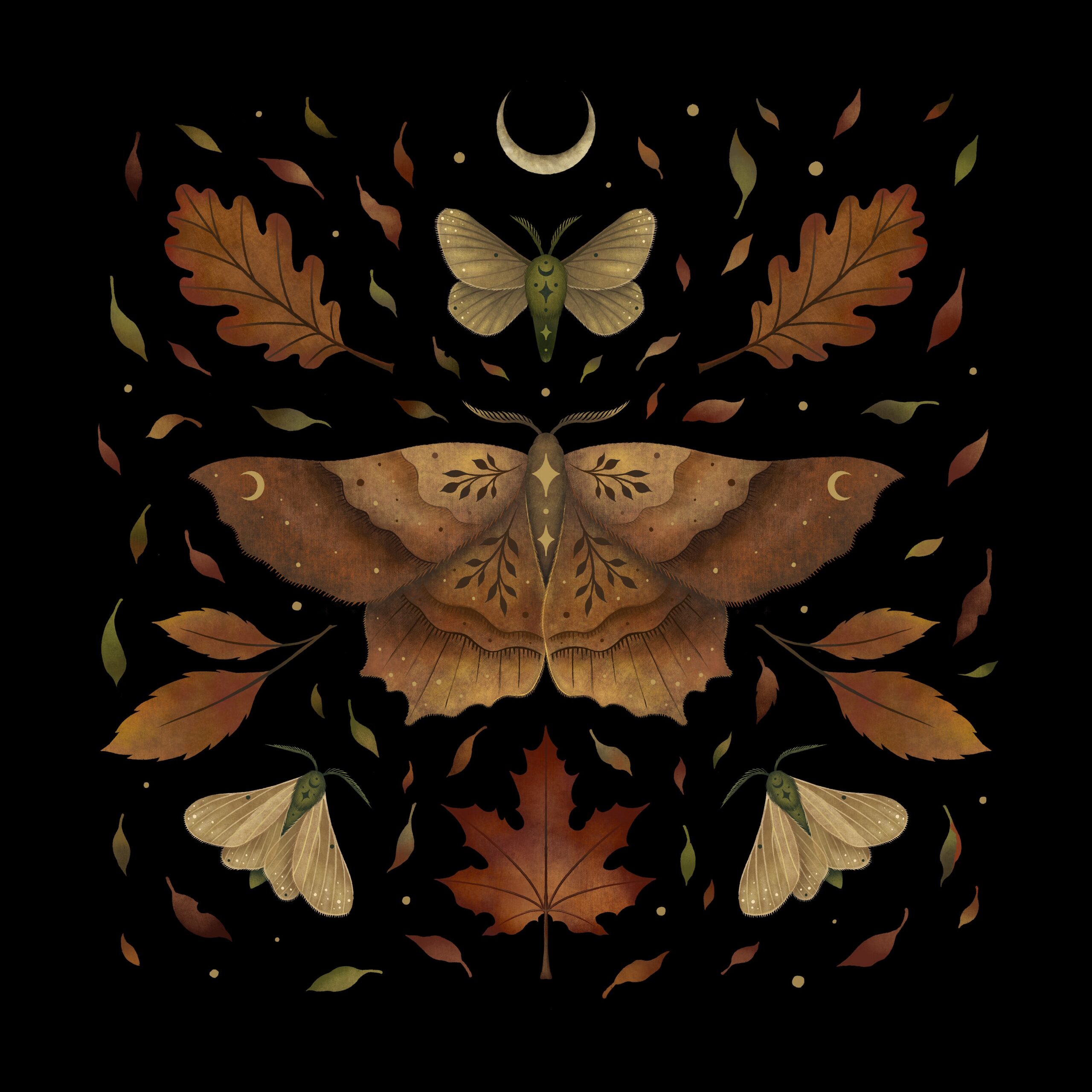 Autumn Moth