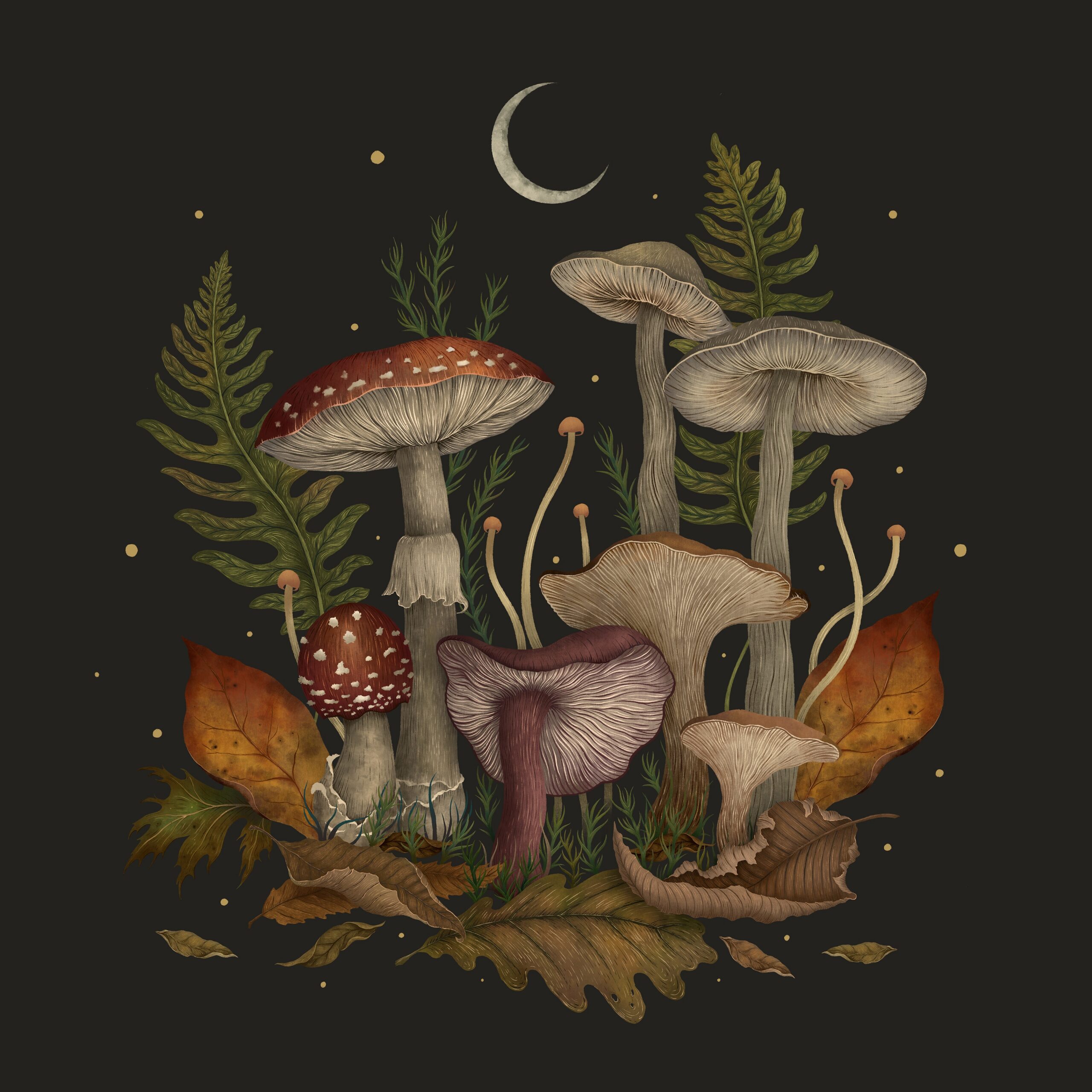 Autumn Mushroom