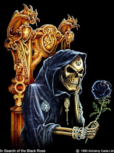 In search of the Black Rose (CA016)
