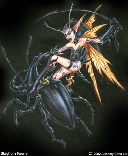 Staghorn Faerie (CA160)