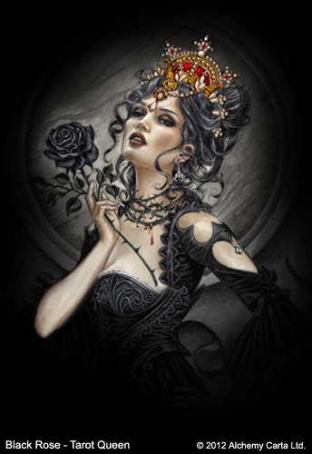 Black Rose – Tarot (CA421BRE1)