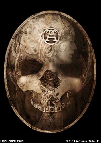 Dark Narcissus (CA558)