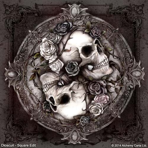 Dioscuri – Square Edit (CA749E1)