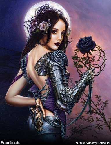 Rosa Noctis (CA857BR)