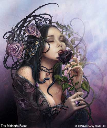 The Midnight Rose (CA866BR)