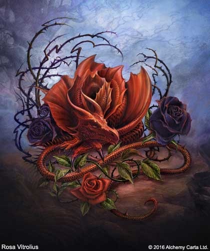 Rosa Vitrolius (CA867)