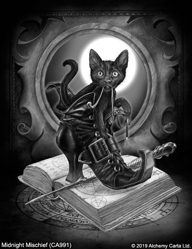 Midnight Mischief (CA991)