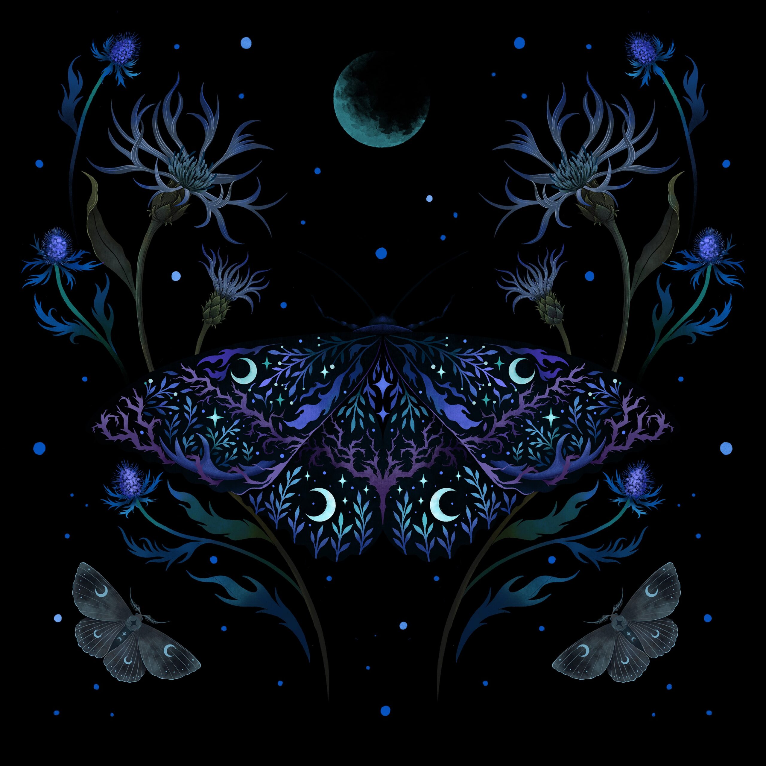 Black Witch Moth